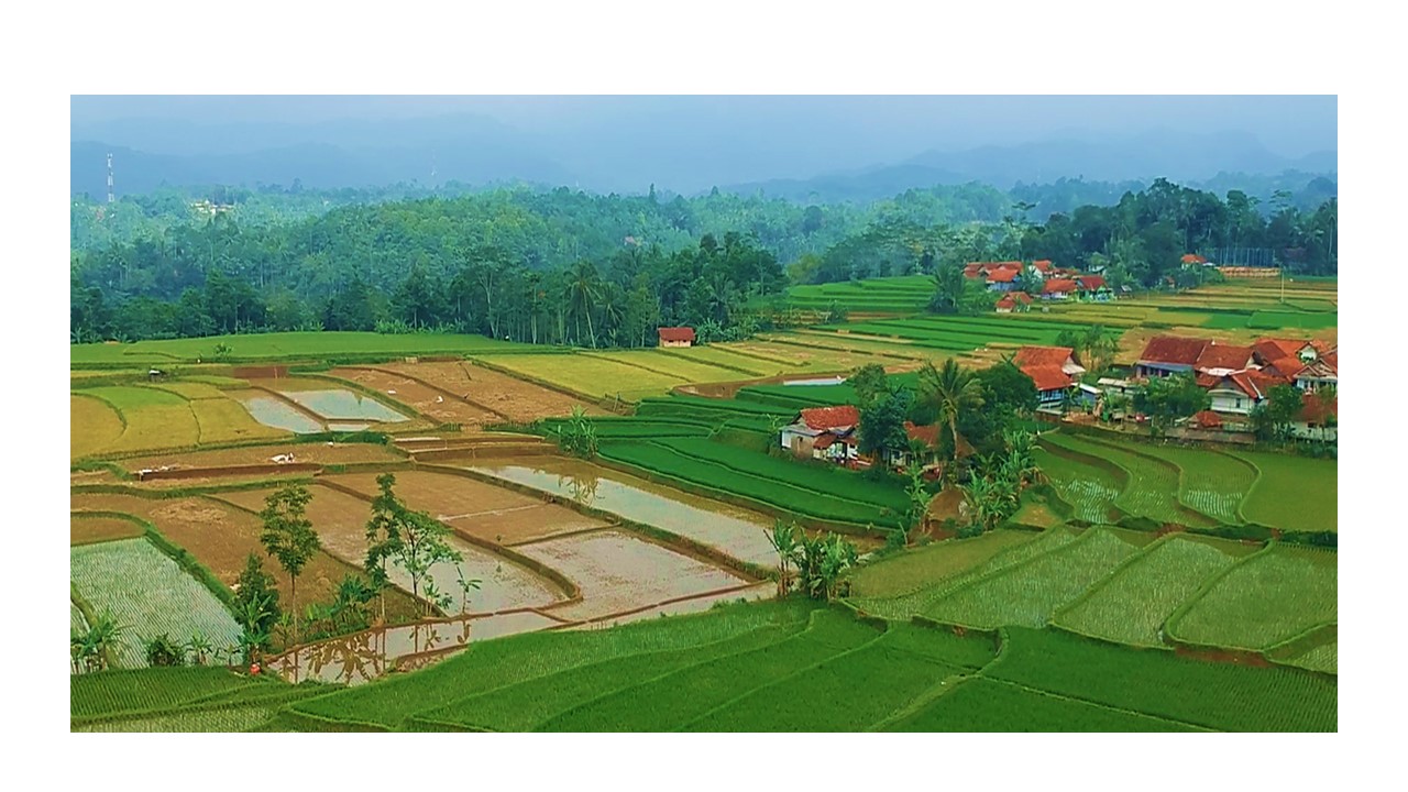 SAMPURASUN DESA PUSPARAJA